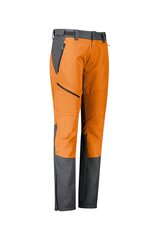 Five Seasons vīriešu bikses Moment, oranžas-pelēkas krāsas цена и информация | Мужские брюки | 220.lv