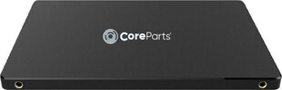 CoreParts CPSSD-2.5SATA-240GB цена и информация | Внутренние жёсткие диски (HDD, SSD, Hybrid) | 220.lv