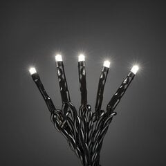 Лампы Slinga, 100 светодиодов цена и информация | Уличное освещение | 220.lv