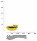 Bišu un tauriņu dzirdinātājs, dzeltens цена и информация | Putnu būri un barotavas | 220.lv