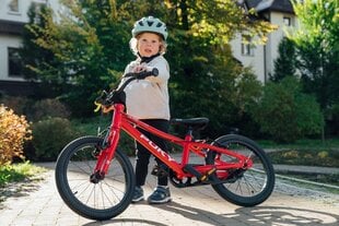 Bērnu velosipēds Puky LS-PRO 16", sarkans цена и информация | Велосипеды | 220.lv