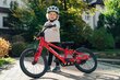Bērnu velosipēds Puky LS-PRO 16", sarkans cena un informācija | Velosipēdi | 220.lv