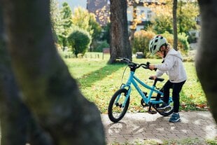 Bērnu velosipēds Puky LS-PRO 16", zils цена и информация | Велосипеды | 220.lv