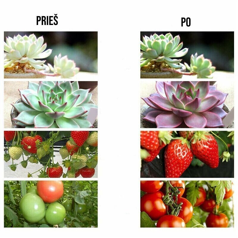 USB LED mitrumizturīgs lente augu audzēšanai cena un informācija | Diedzēšanas trauki, augu lampas | 220.lv