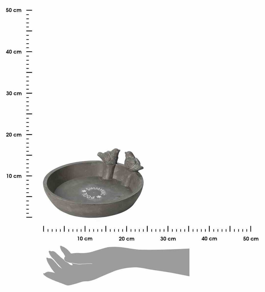 Dārza putnu dzirdinātājs 23,5 cm цена и информация | Dārza dekori | 220.lv