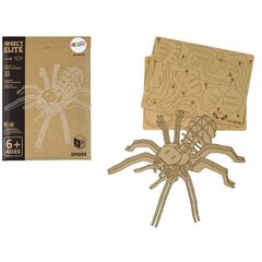 Koka 3D zirnekļa telpiskā puzle Lean Toys, 31 daļas cena un informācija | Puzles, 3D puzles | 220.lv