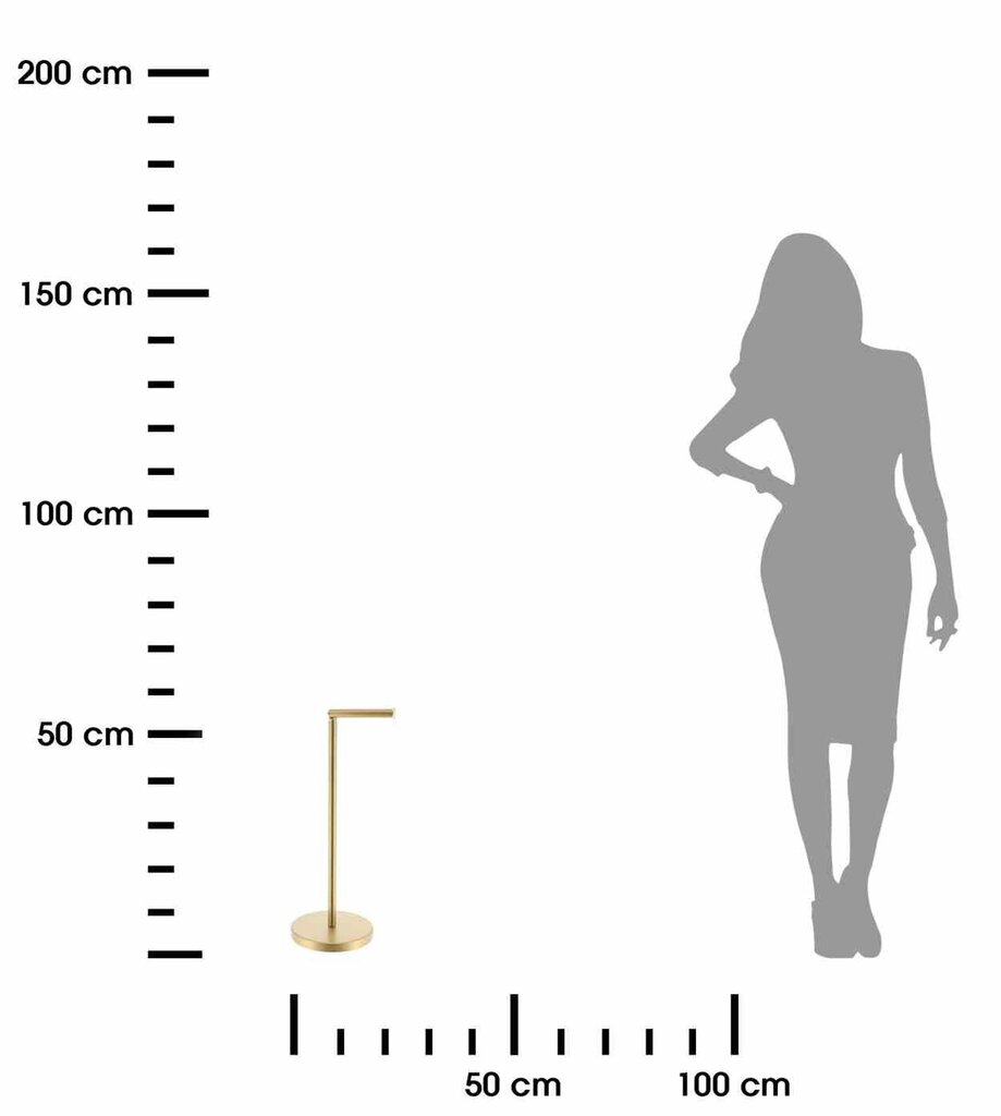Andres, metāla papīra statīvs cena un informācija | Vannas istabas aksesuāri | 220.lv