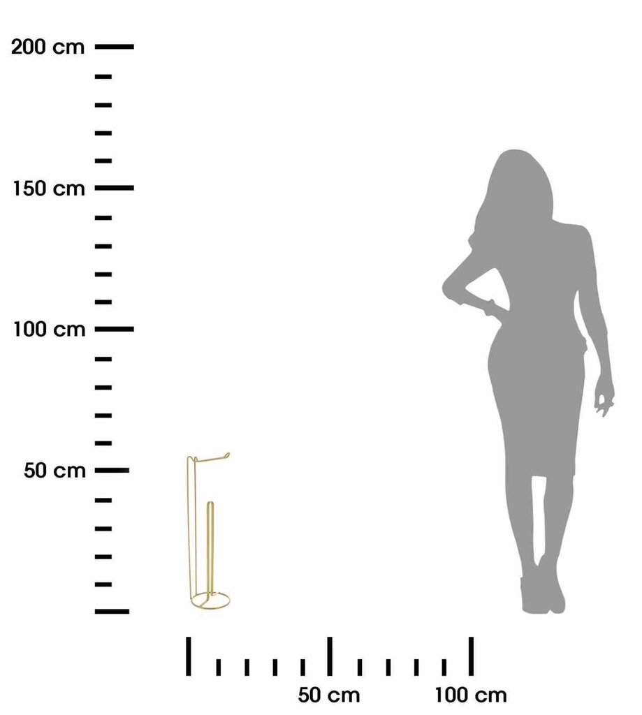 Andres Zelta metāla papīra turētājs cena un informācija | Vannas istabas aksesuāri | 220.lv