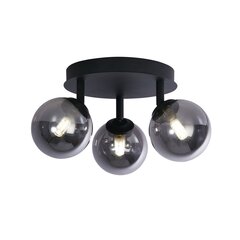 Searchlight griestu lampa Crosby 96913-3BK цена и информация | Потолочные светильники | 220.lv