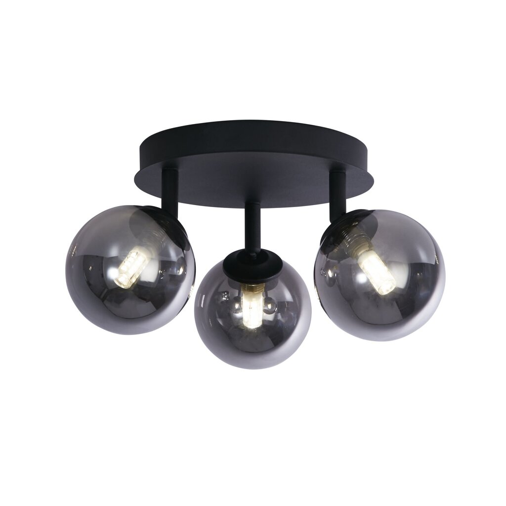 Searchlight griestu lampa Crosby 96913-3BK cena un informācija | Griestu lampas | 220.lv