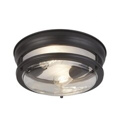 Searchlight griestu lampa Glasgow 5182BK cena un informācija | Griestu lampas | 220.lv