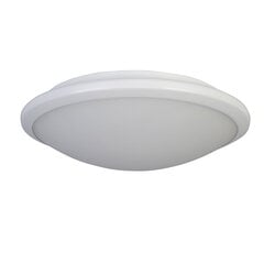 Searchlight griestu lampa Knutsford LED Flush 7938-30WH цена и информация | Потолочные светильники | 220.lv