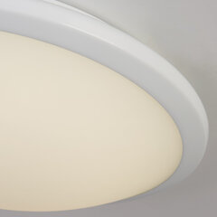 Потолочный светильник Searchlight Knutsford LED Flush 7938-30WH цена и информация | Потолочные светильники | 220.lv