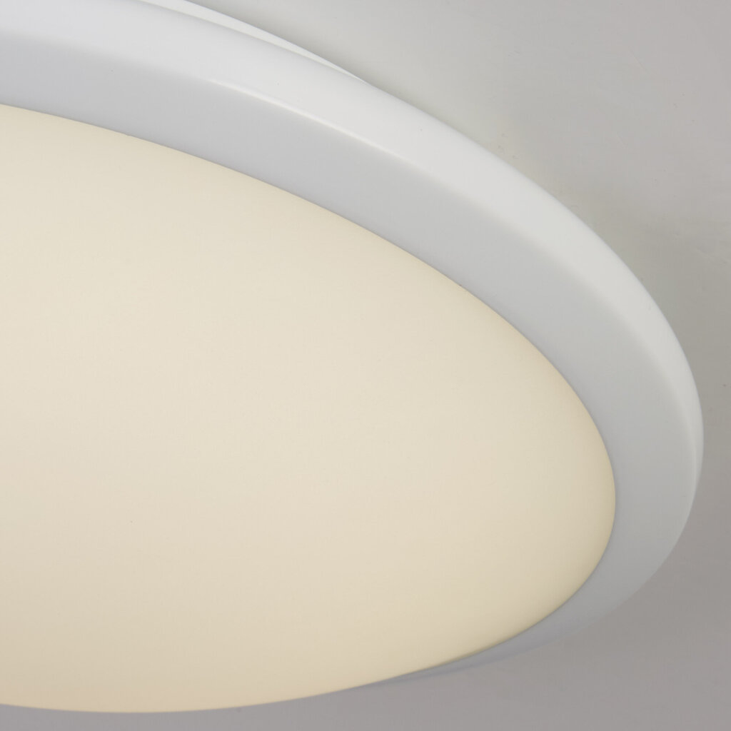 Searchlight griestu lampa Knutsford LED Flush 7938-30WH цена и информация | Griestu lampas | 220.lv