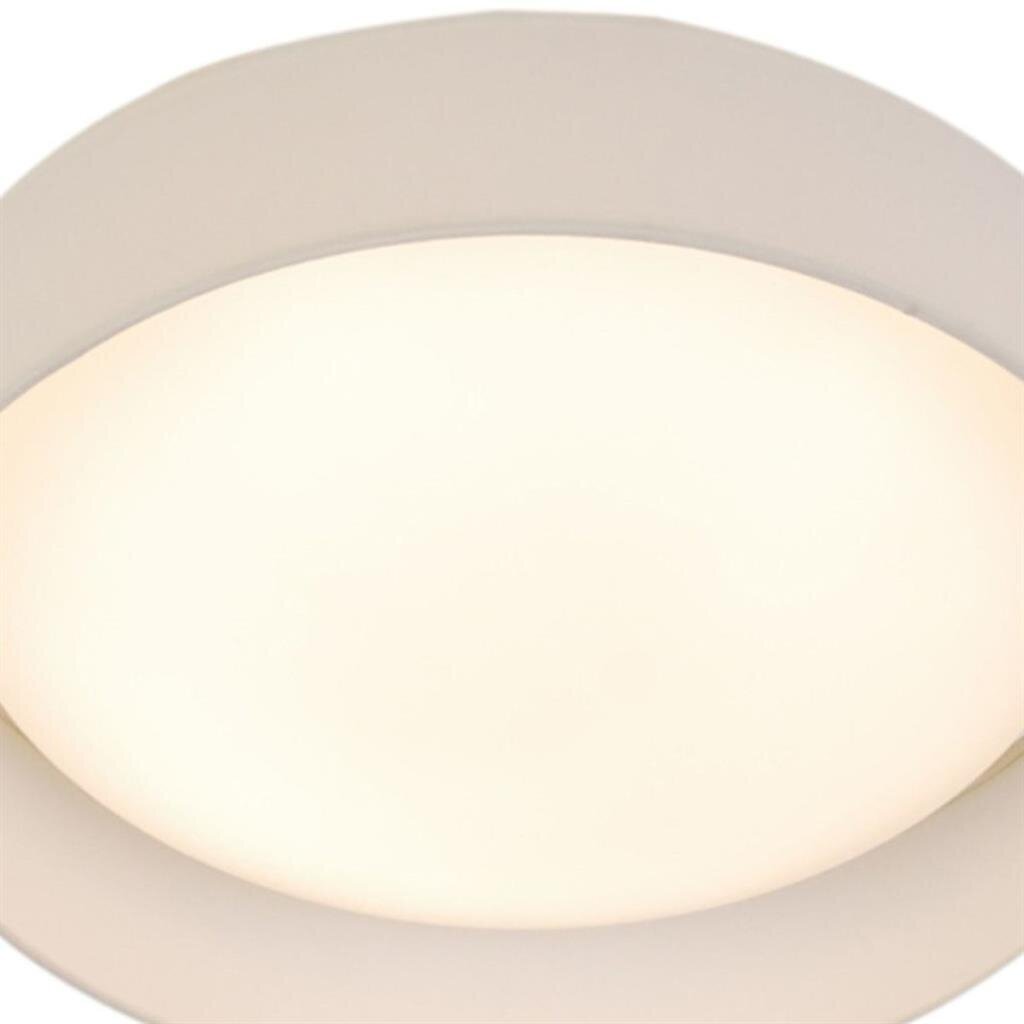 Searchlight griestu lampa Gianna 9371-37WH цена и информация | Griestu lampas | 220.lv