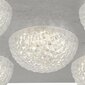 Searchlight griestu lampa Celestia 32511-5SI cena un informācija | Griestu lampas | 220.lv