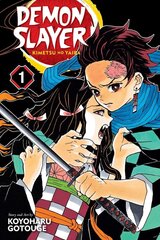 Комикс Манга Demon slayer Vol. 1 цена и информация | Комиксы | 220.lv