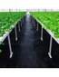Agrotekstils pret nezālēm John Green 1.6x100m, melns цена и информация | Dārza instrumenti | 220.lv