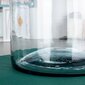 dekoratīvā stikla vāze 20,5 cm cena un informācija | Vāzes | 220.lv