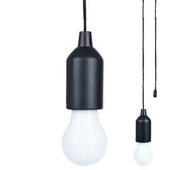 Светодиодный подвесной светильник с питанием от аккумулятора цена и информация | Потолочные светильники | 220.lv