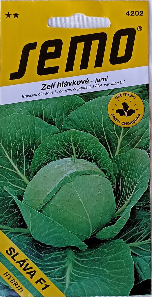 Kāposti Slava F1 Semo цена и информация | Dārzeņu, ogu sēklas | 220.lv