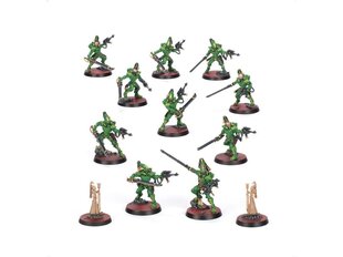 Sīktēlu komplekts Kill Team: Aeldari Blades of Khaine, 103-41 cena un informācija | Konstruktori | 220.lv