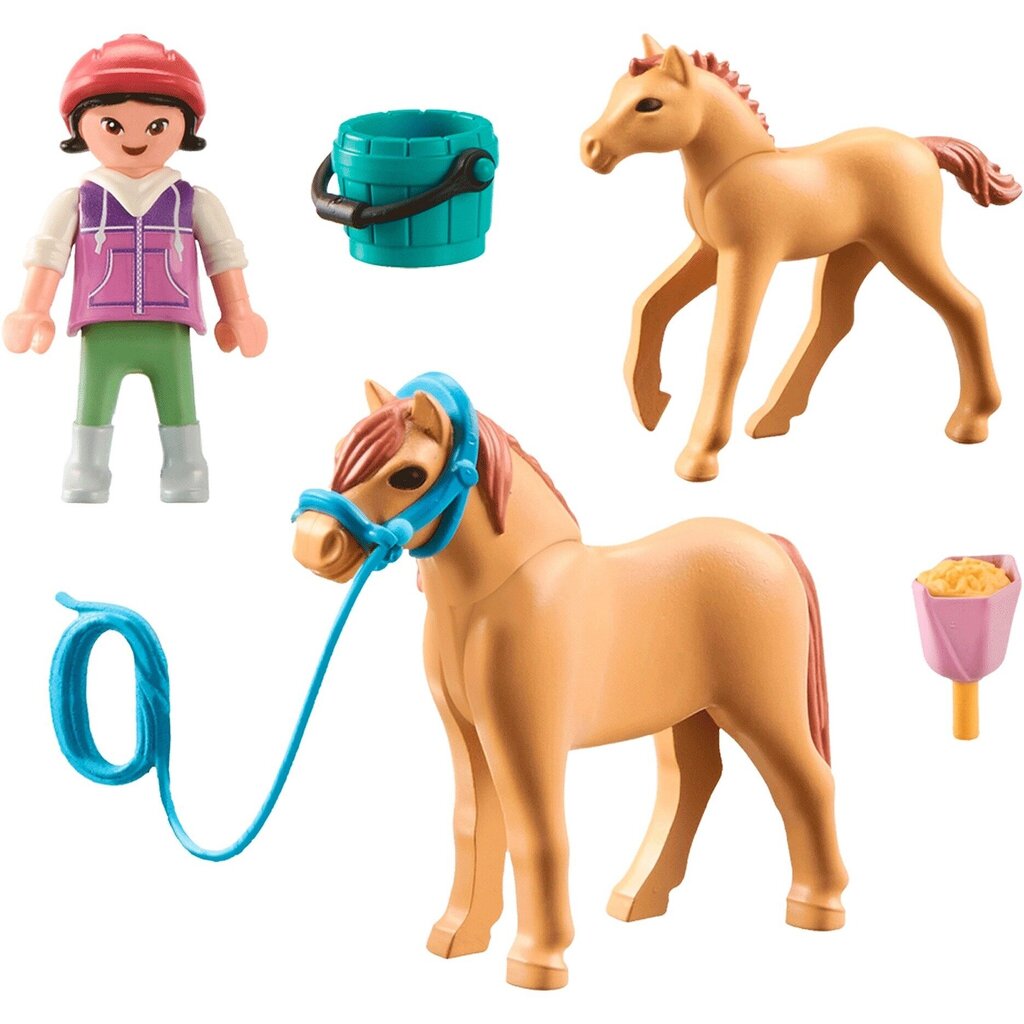 71498 PLAYMOBIL® Horses of Waterfall, ponijs цена и информация | Konstruktori | 220.lv