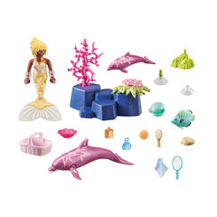 71501 PLAYMOBIL® Princess Magic, nāriņa ar delfīniem cena un informācija | Konstruktori | 220.lv