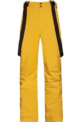 Лыжные штаны мужские Protest 4792000216, желтые цена и информация | Мужская лыжная одежда | 220.lv
