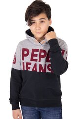 Džemperis zēniem Pepe Jeans Shaun Junior PB580943, pelēks цена и информация | Свитеры, жилетки, пиджаки для девочек | 220.lv