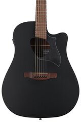 Электроакустическая гитара Ibanez ALT20-WK Altstar  цена и информация | Гитары | 220.lv