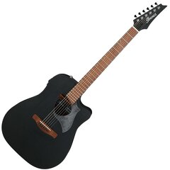 Электроакустическая гитара Ibanez ALT20-WK Altstar  цена и информация | Гитары | 220.lv