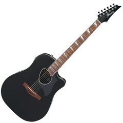 Электроакустическая гитара цена и информация | Гитары | 220.lv