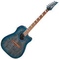 Электроакустическая гитара цена и информация | Гитары | 220.lv