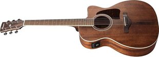 Электроакустическая гитара Ibanez AC340CE-OPN (Natural open pore) цена и информация | Гитары | 220.lv