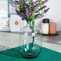 стеклянная ваза для цветов, 19 см цена и информация | Вазы | 220.lv