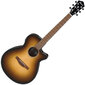 Elektroakustiskā ģitāra Ibanez AEG50-DHH cena un informācija | Ģitāras | 220.lv