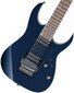 Elektriskā ģitāra Ibanez RG2027XLDTB Prestige cena un informācija | Ģitāras | 220.lv