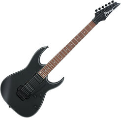 Elektriskā ģitāra Ibanez RG320EXZ-BKF cena un informācija | Ģitāras | 220.lv