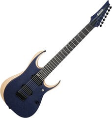 Elektriskā ģitāra Ibanez RGDR4427FX NTF cena un informācija | Ibanez Mūzikas instrumenti un piederumi | 220.lv