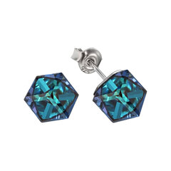 Серебряные серьги Рубикон II (Bermuda Blue) с кристаллами Swarovski™ DS02A867 цена и информация | Серьги - пусеты, золотистые | 220.lv