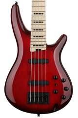 Бас-гитара Ibanez ANB205TWB Adam Nitti Signature (Transparent wine red burst) цена и информация | Гитары | 220.lv