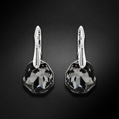 Серебряные серьги Ледяные Грани (Silver Night) с кристаллами Swarovski™ DS02A878 цена и информация | Серьги - пусеты, золотистые | 220.lv