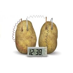 Izglītojošs komplekts Leantoys Kartupeļu pulkstenis cena un informācija | Attīstošās rotaļlietas | 220.lv