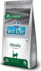 Farmina Vet Life Obesity сухой корм для кошек с курицей, 2 кг цена и информация | Сухой корм для кошек | 220.lv