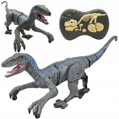 Tālvadības dinozaurs Velociraptor cena un informācija | Rotaļlietas zēniem | 220.lv