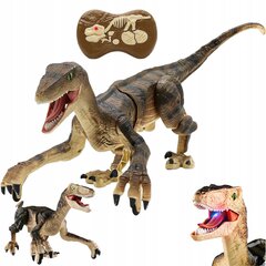 Tālvadības dinozaurs Velociraptor cena un informācija | Rotaļlietas zēniem | 220.lv