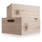 dekoratīvā kaste 31x21x13 cm cena un informācija | Veļas grozi un mantu uzglabāšanas kastes | 220.lv