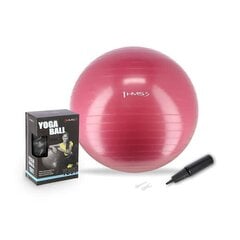 Гимнастический мяч HMS YB01N Gym Ball 65 см, розовый цена и информация | Гимнастические мячи | 220.lv