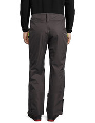 Slēpošanas bikses vīriešiem Ultrasport 1449-150/300, pelēkas cena un informācija | Vīriešu slēpošanas apģērbs | 220.lv